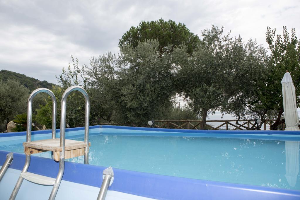 Appartamento degli Ulivi 2 Sant'Agnello Esterno foto
